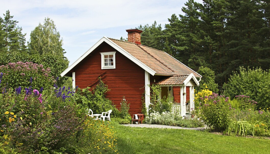 Ett rött litet trähus med vita knutar och blomstrande sommaridyllisk trädgård.
