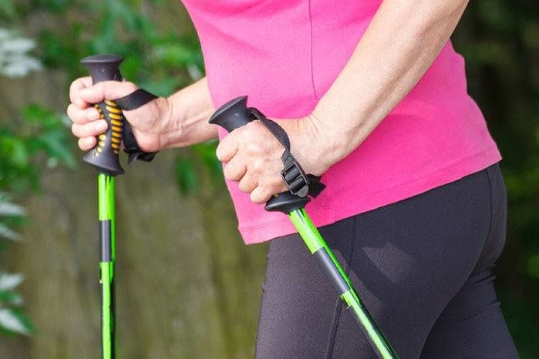 Bâtons De Marche Extérieur Robustes - Équipement Randonnée Avec Pointes | Pour Randonneurs Et Seniors