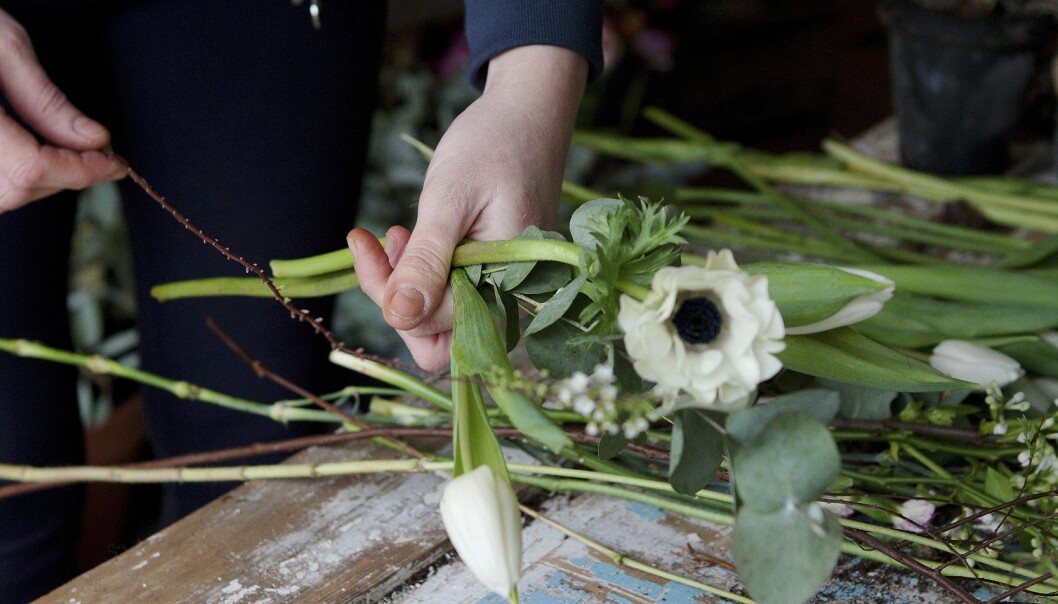 Foto: Therése A. Svensson Steg ett i att göra en bukett är att börja med grundblomman.