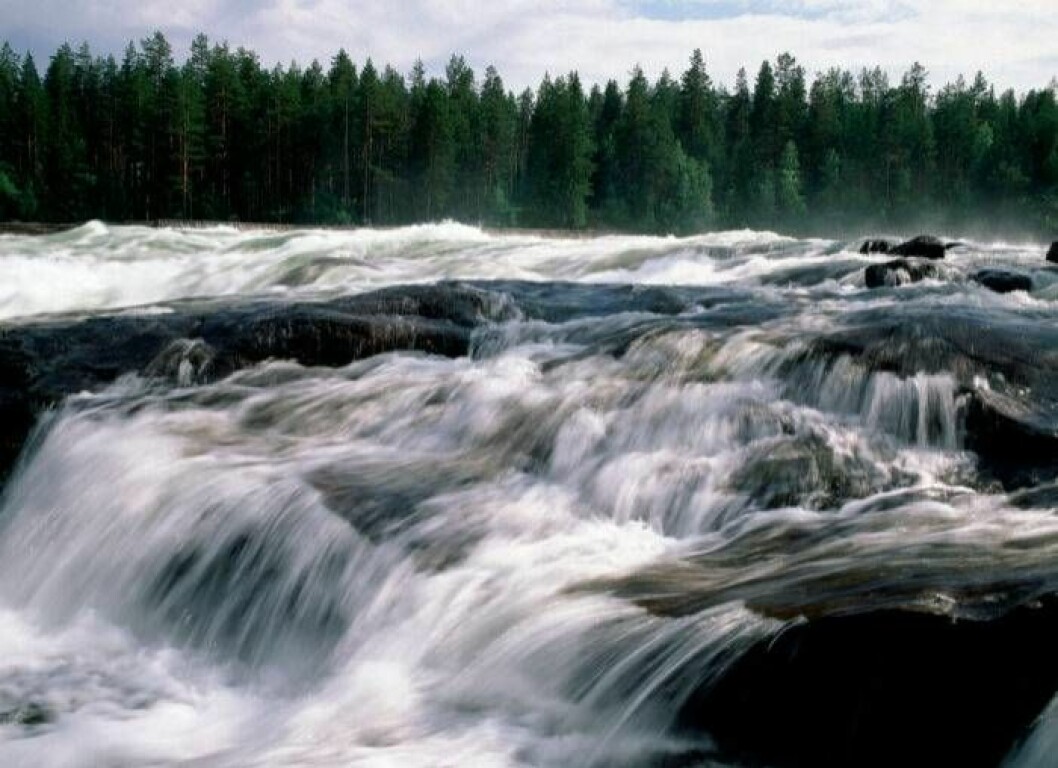 Storforsen, Älvsbyns kommun