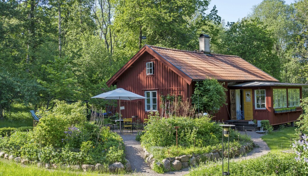 Trädgård med perennrabatter.