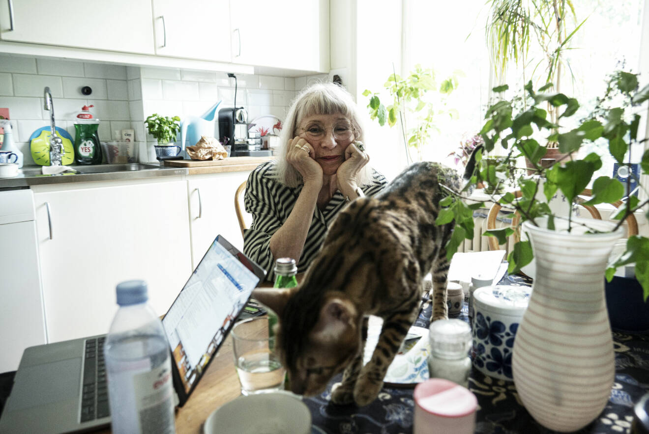 Suzanne Osten sitter vid köksbordet och tittar på sin katt