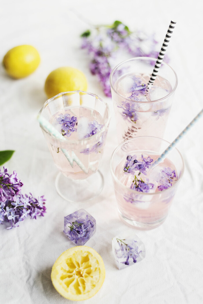Syrensaft är svårslaget när sommarvärmen drar in. Syrener är ätbara blommor