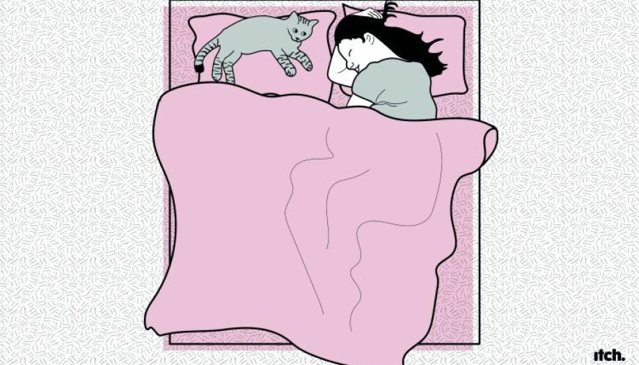 Ill: SWNS/Itch The Pillow Bandit