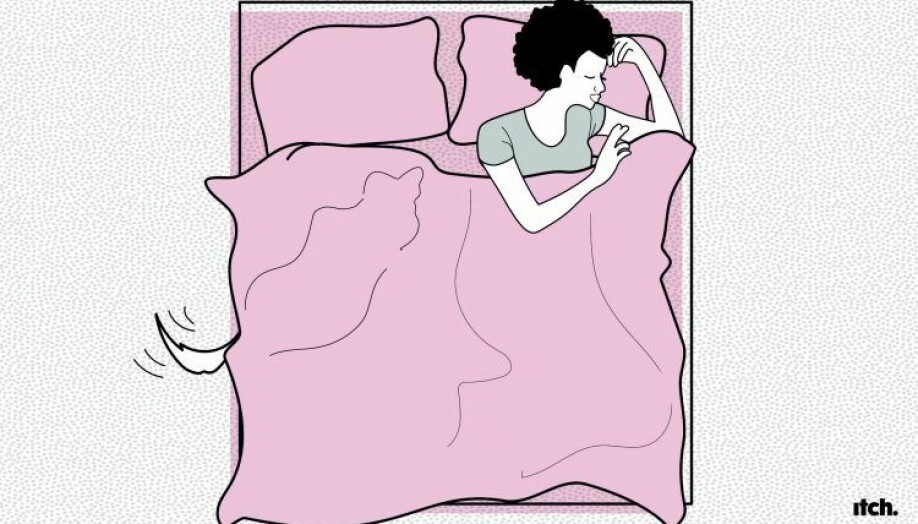 Ill: SWNS/Itch The Under-Cover Lover