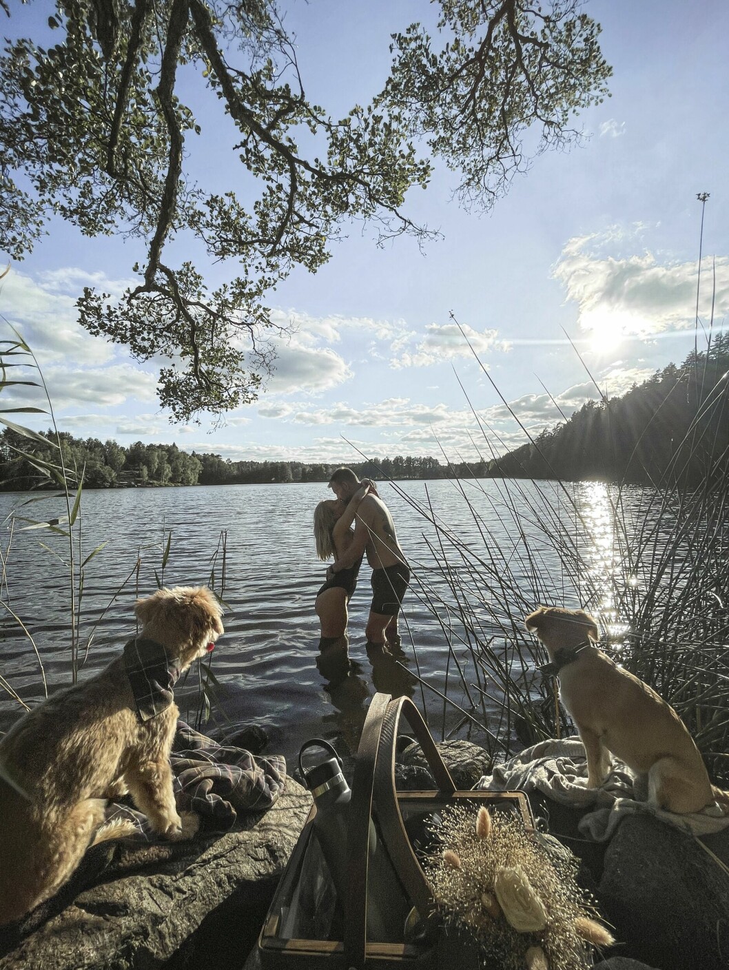 Therése Lindgren och Anders Vesterlund står ute i vattnet i badkläder och håller om varandra. På klippblocken intill väntar deras hundar.