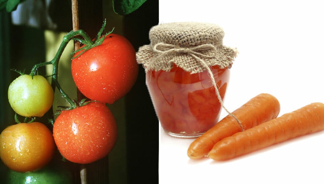 Tomater och morötter – är de frukter eller grönsaker?
