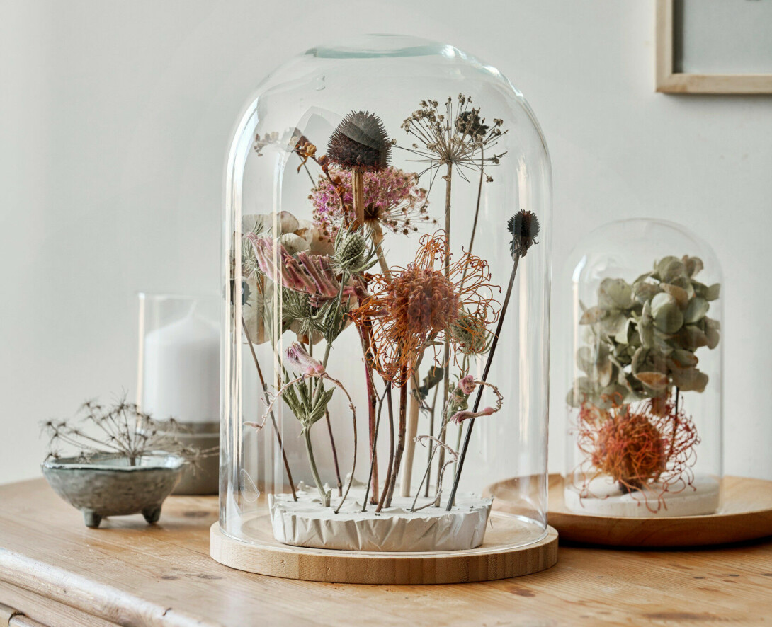 Torkade blommor under glasklockor