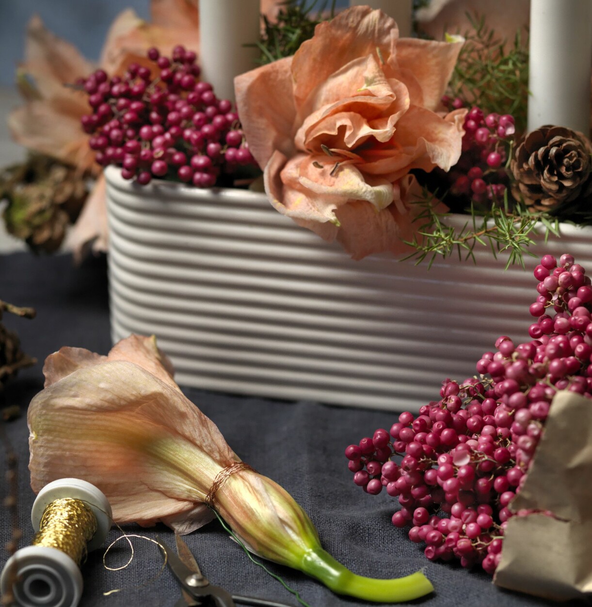 Torkade kronbladen på amaryllis.