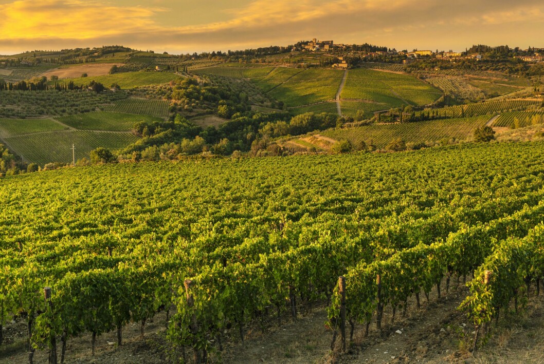 toscana