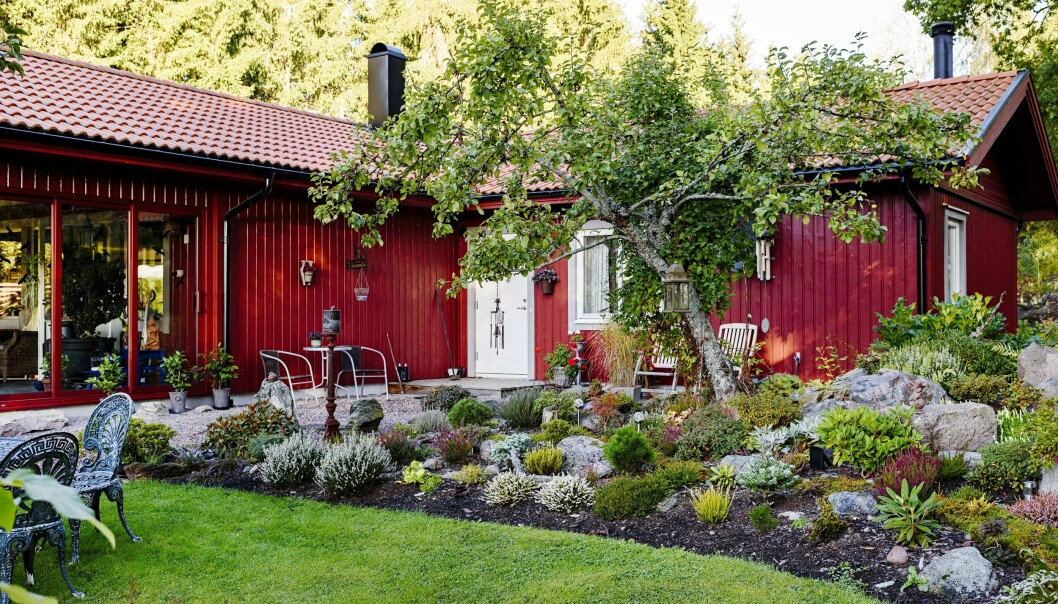 När Marjut och Lars-Gunnar köpte tomten 2009 lät de först bygga ett hus. Därefter tog det stora arbetet med att anlägga trädgården. I mitten står ett äppelträd och i mix med stenar växer bland annat barrväxter, ljung och låga rododendron.