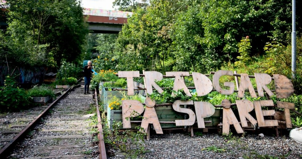 På ett gammalt järnvägsspår på Södermalm kan stockholmare odla i stadsmiljö. Foto: Meli Petersson Ellafi/DN/TT Vid ett järnvägsspår står det stort "Trädgård på spåret" i plywood.