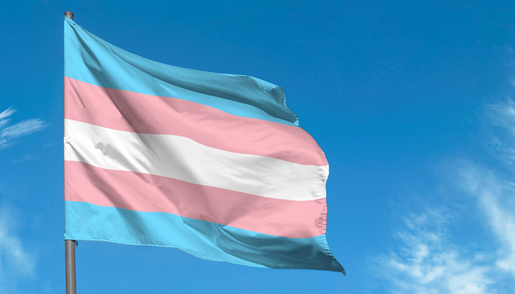 Transgender pride-flaggan