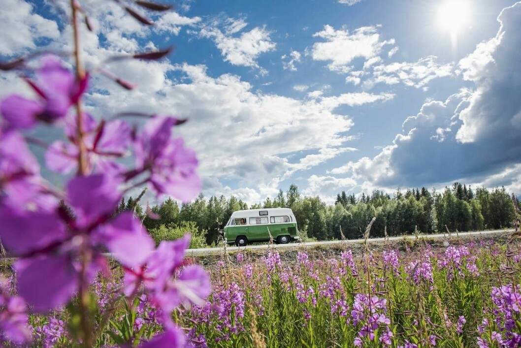 Susanne föll direkt för den charmiga bussen som hon nu susar landet runt med. Som längst har hon kört 70 mil – till Norge. Susanne Jonssons bus Hjördis i vackra naturomgivningar