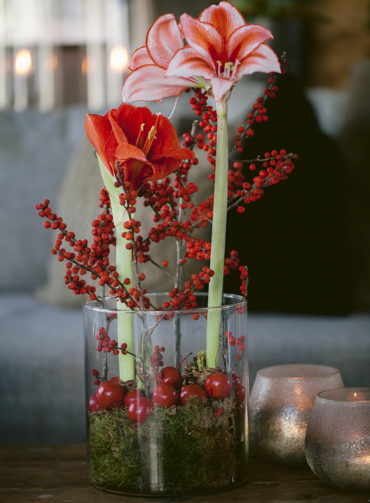 Underbart vackra ’Charisma’ i vitt med röda och orange teckningar ner i svalget. Blir ett utmärkt julpar tillsammans med ’Red Lion’ i klassiskt julrött. Två olika sorters amaryllis med bär och kvistar i en glasvas på julen.