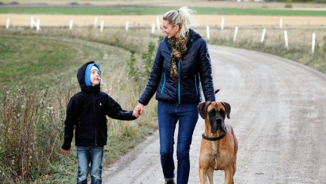 I dag finns ork till lek och promenader med sonen Bobbo. 