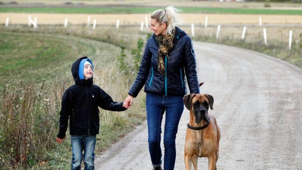 I dag finns ork till lek och promenader med sonen Bobbo. I dag finns ork till lek och promenader med sonen Bobbo.