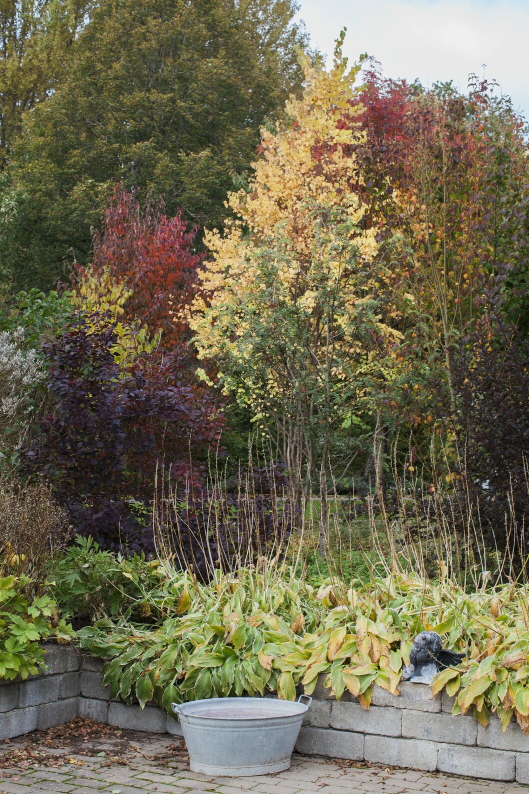 Höstens vackra bladverk uppskattas på Eksäter.