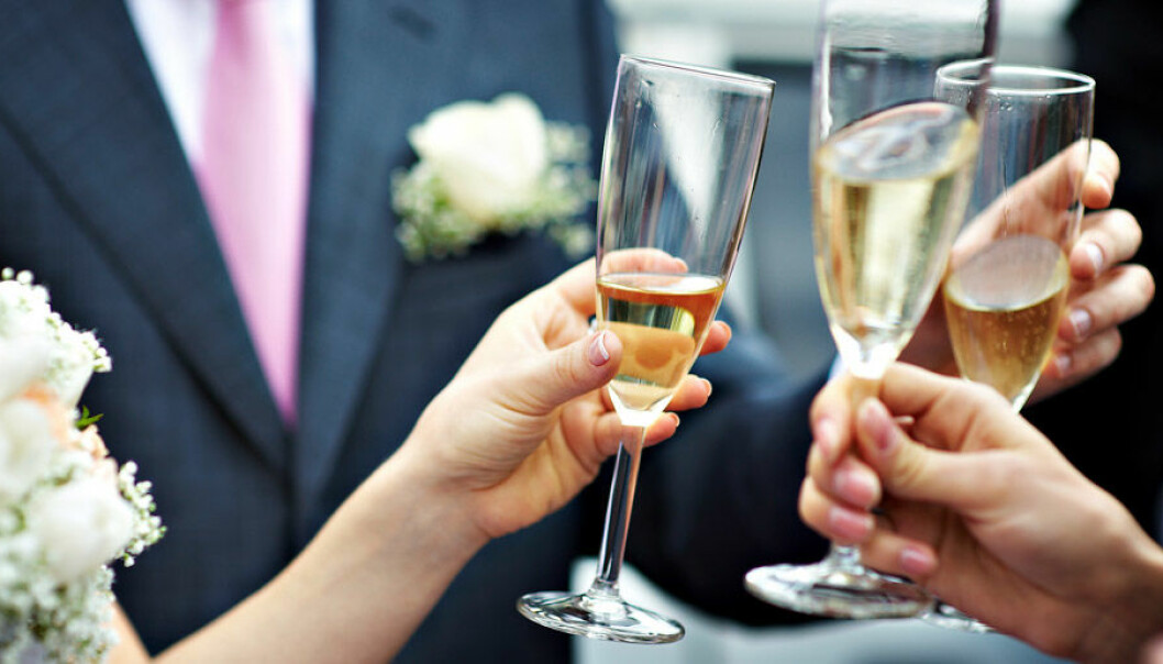 Bröllopsgäster skålar i champagne och undrar om de vågar dricka alkohol medan de tar antibiotika