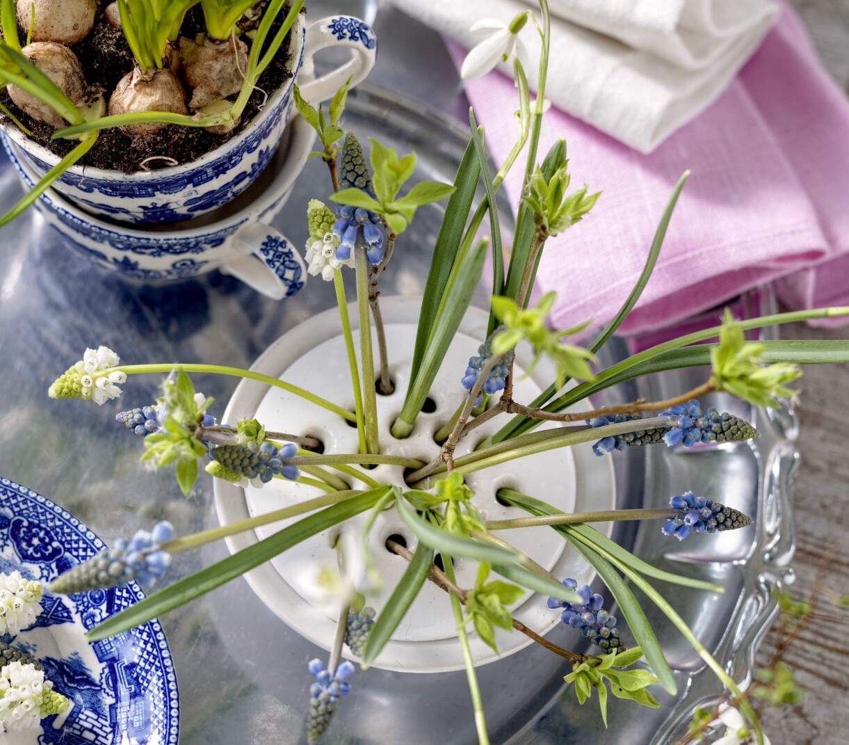 Vårlökar i blomsterfakir.
