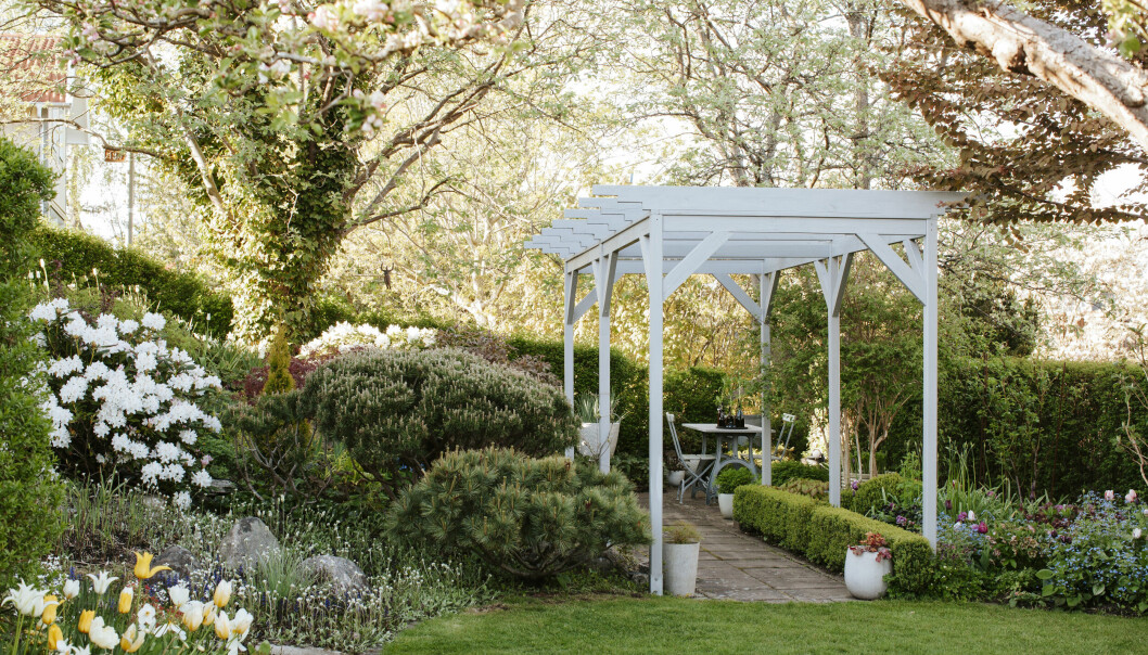Pergola i en trädgård.