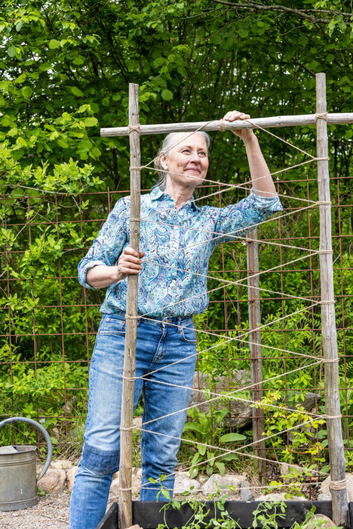 The plant prop is really cool even before the climbers start growing Plant support for filaments.