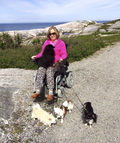 I ett och ett halvt år fick Venke sitta i rullstol. Foto: Privat Venke i rullstol utomhus med sina tre hundar.