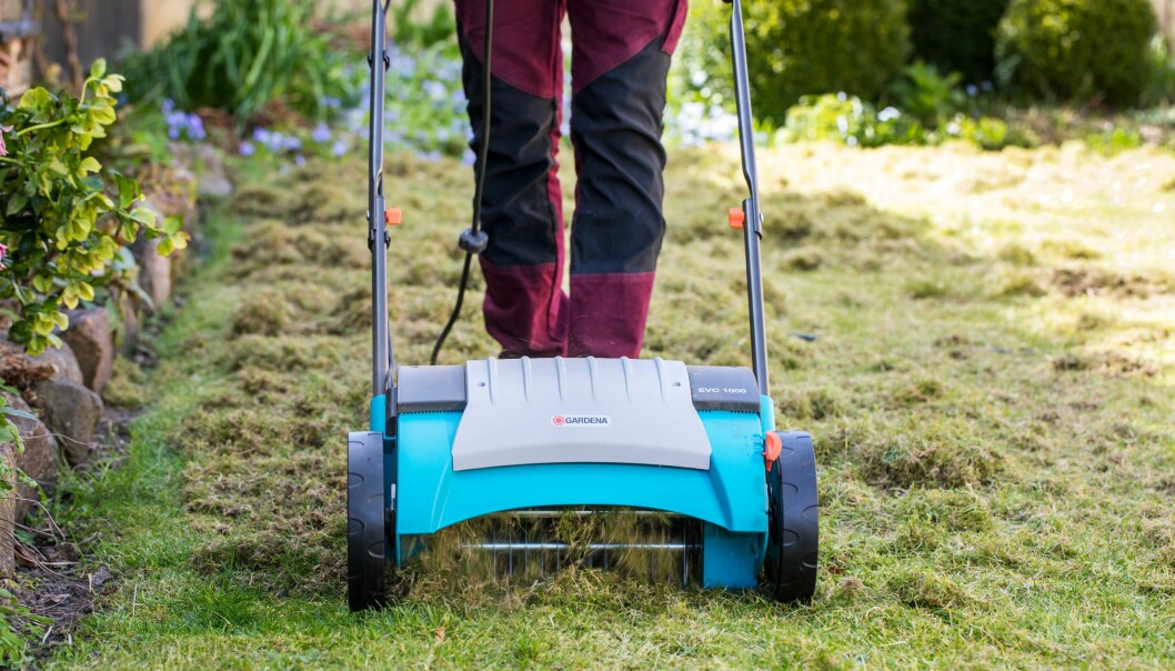 Vertikalskär gräset för bäst luftning inför sommaren.