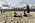 Författaren Sofie Weidemann och hennes två barn på stranden vid Santa Monica Pier i Los Angeles, USA:
