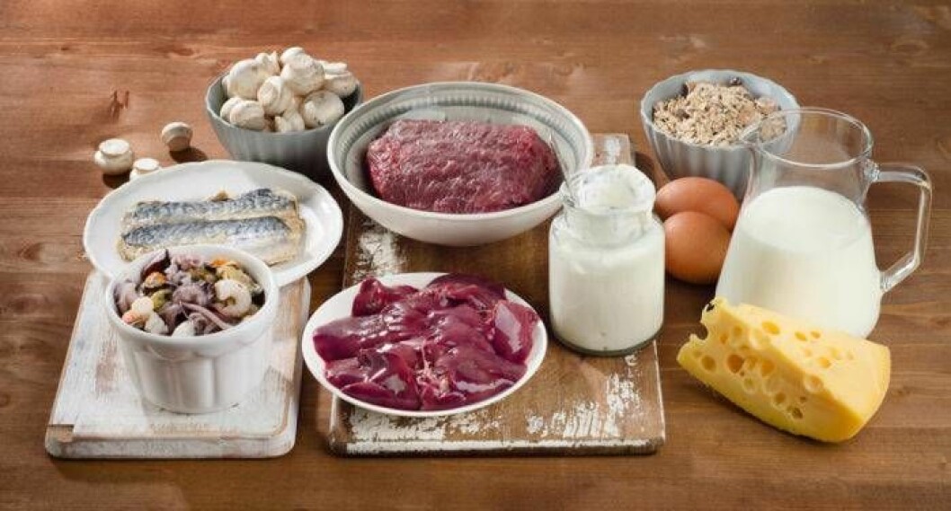 Mat rik på vitamin B12