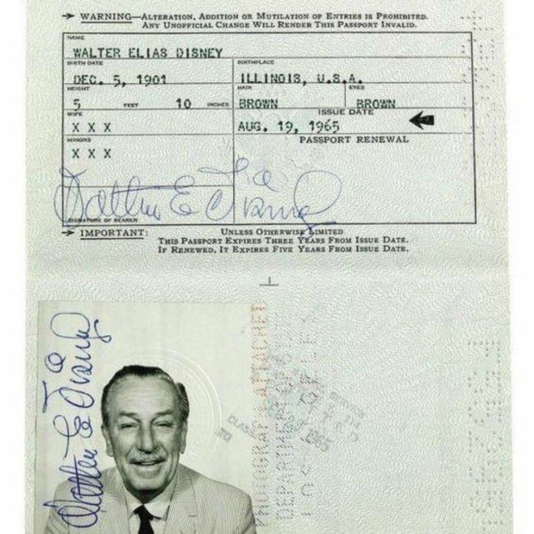 walt disney pass