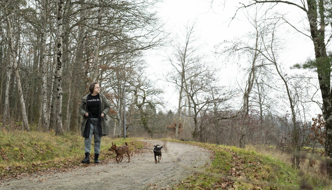 Hundarna har hållit Ylva sysselsatt. Och räddningen har varit ett stort stöd från familj, släkt och vänner. Foto: Julia Sjöberg Ylva är tacksam för familjens stöd efter överfallet. Foto: Julia Sjöberg